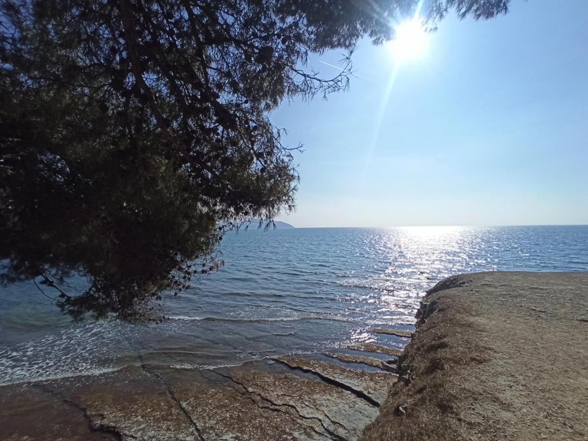 Апартаменты Ete Indien - Plage - Wifi - Host Provence Ла-Сьота Экстерьер фото